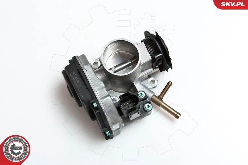 Throttle Body